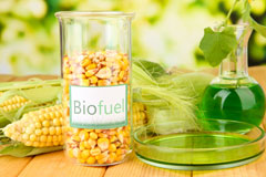 Castor biofuel availability