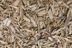 biomass boilers Castor
