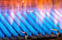 Castor gas fired boilers