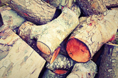 Castor wood burning boiler costs